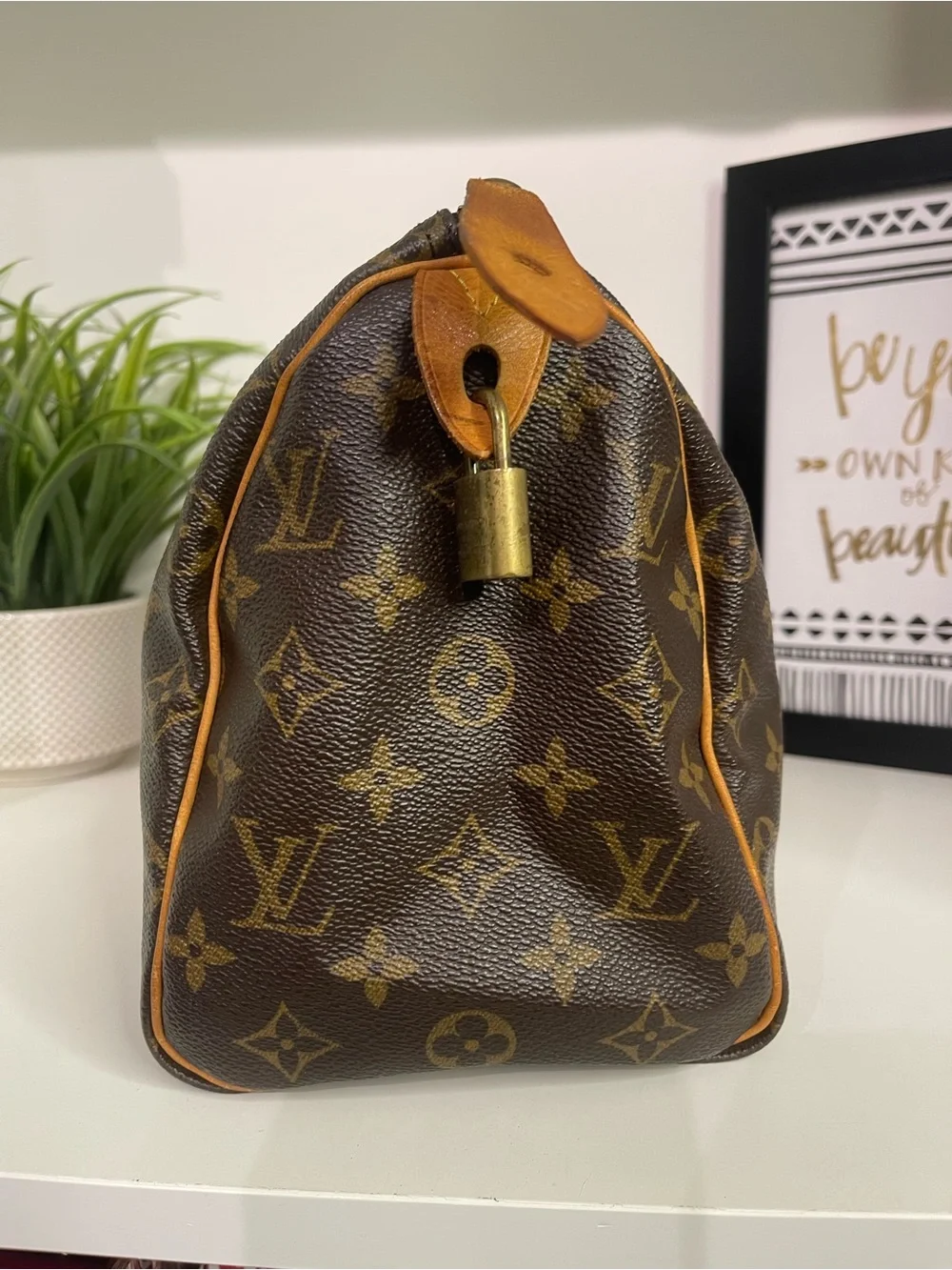 Louis Vuitton Monogram Speedy 25